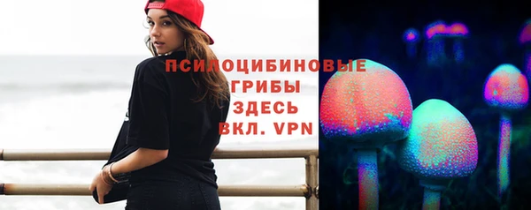 прущая мука Арсеньев