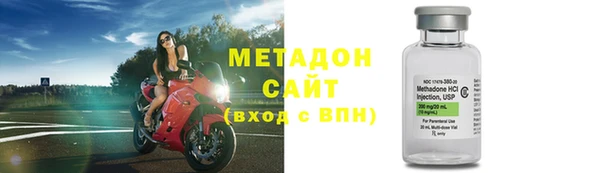 ПСИЛОЦИБИНОВЫЕ ГРИБЫ Осинники