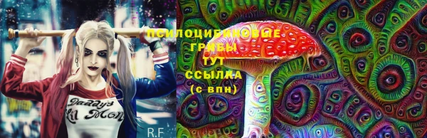 ПСИЛОЦИБИНОВЫЕ ГРИБЫ Осинники
